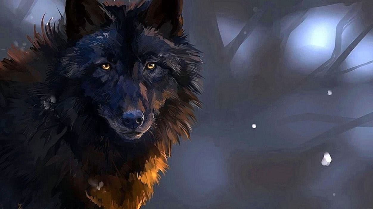 1260x710 Wolf Wallpaper Epic, Desktop