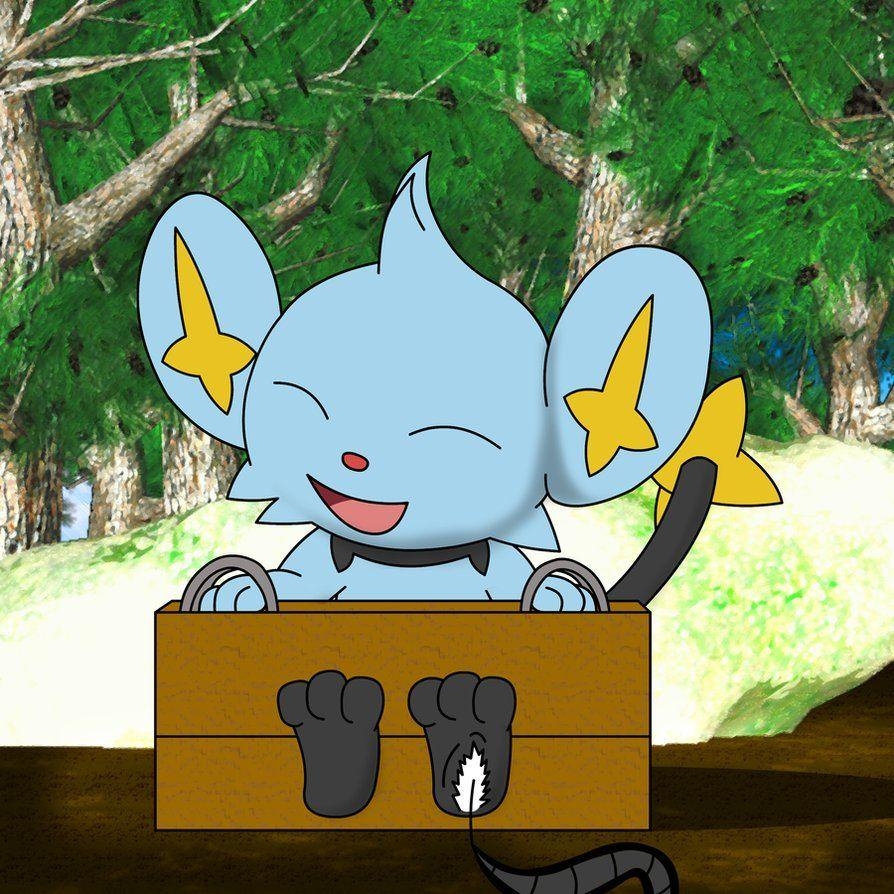 900x900 Shinx Tickle for Pokepaws12, Phone