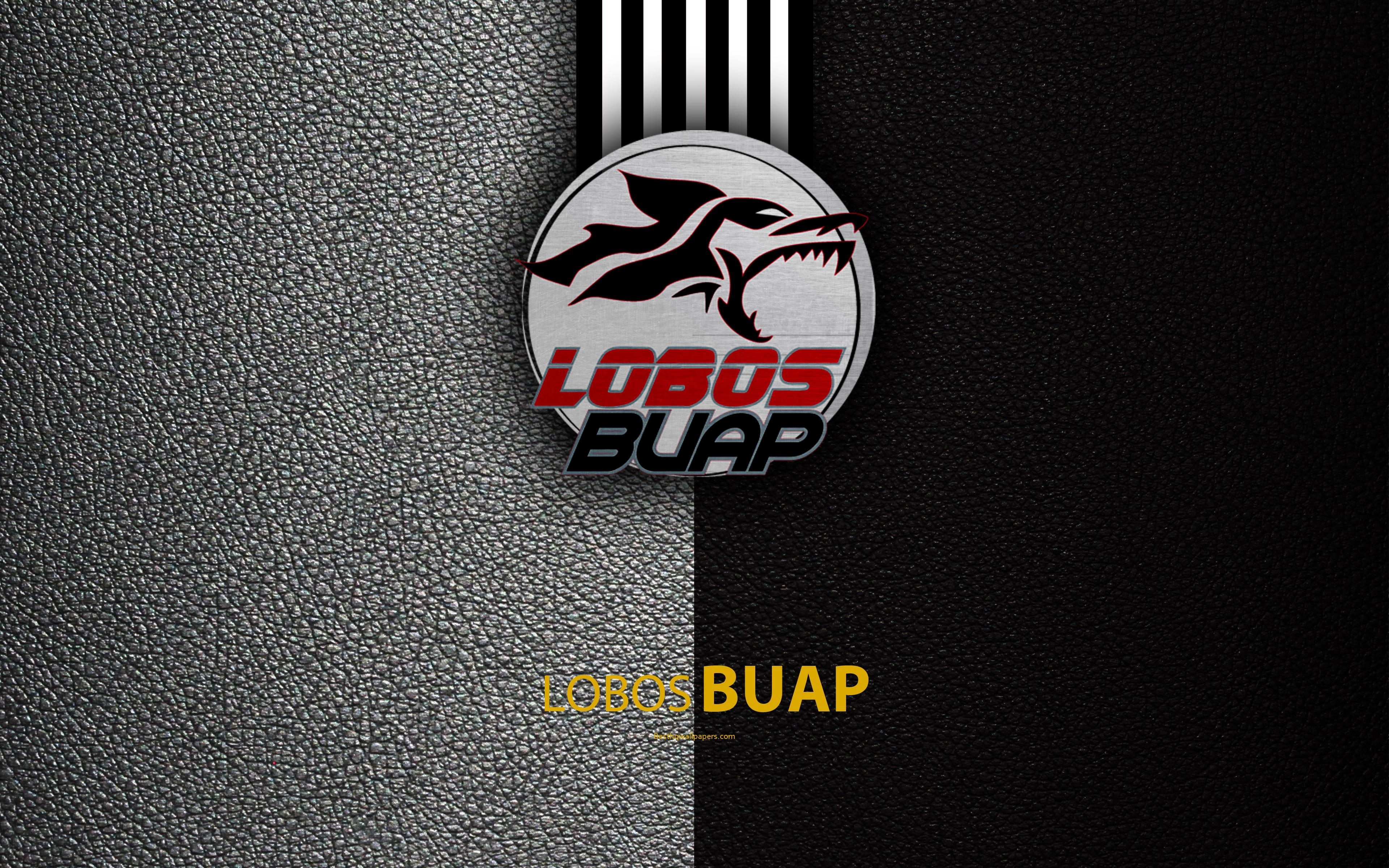 3840x2400 Download wallpaper Lobos BUAP, 4k, leather texture, logo, Mexican, Desktop