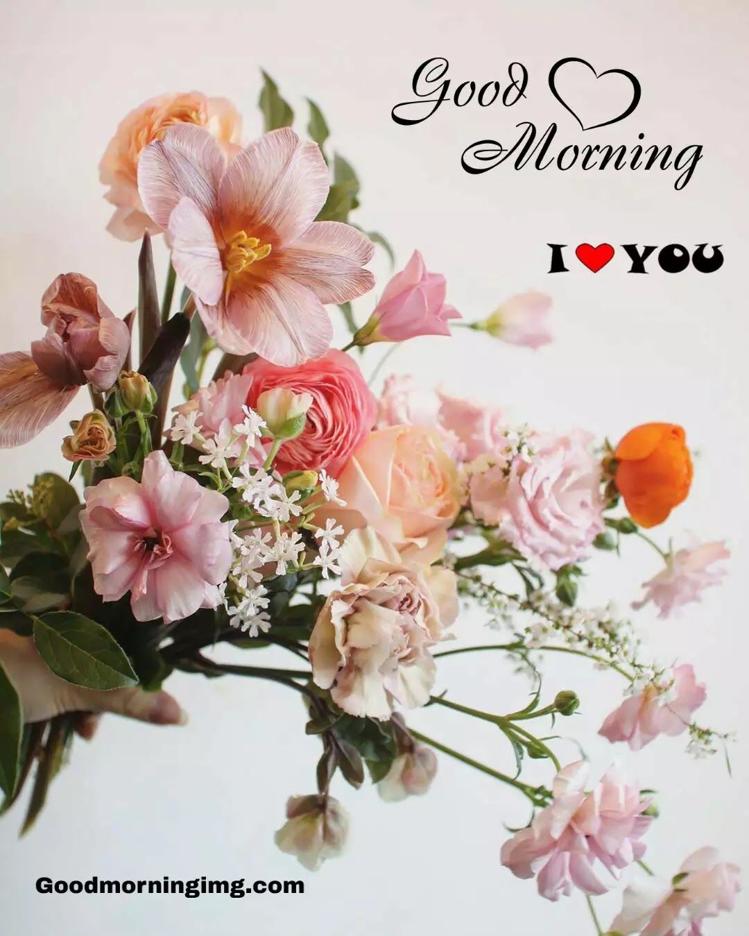 1080x1350 Good Morrning Flowers Image, Photo Free Download, Phone