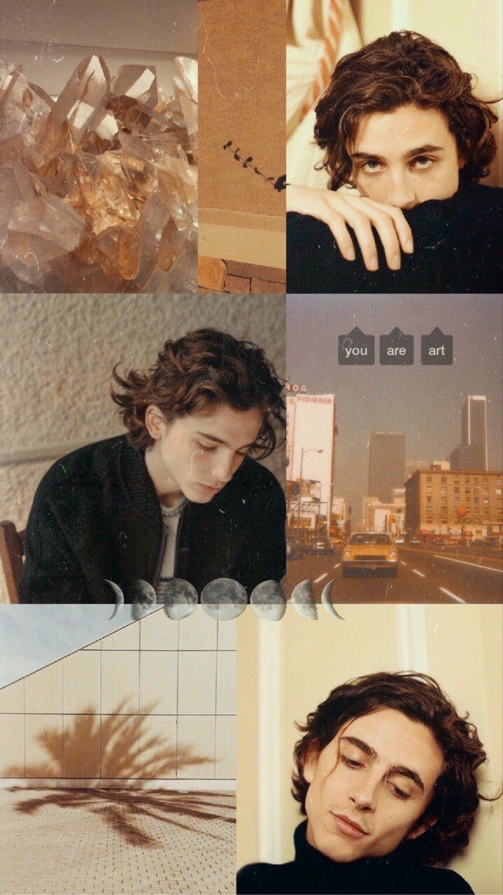 720x1280 Timothée Chalametée Wallpaper 2, Phone