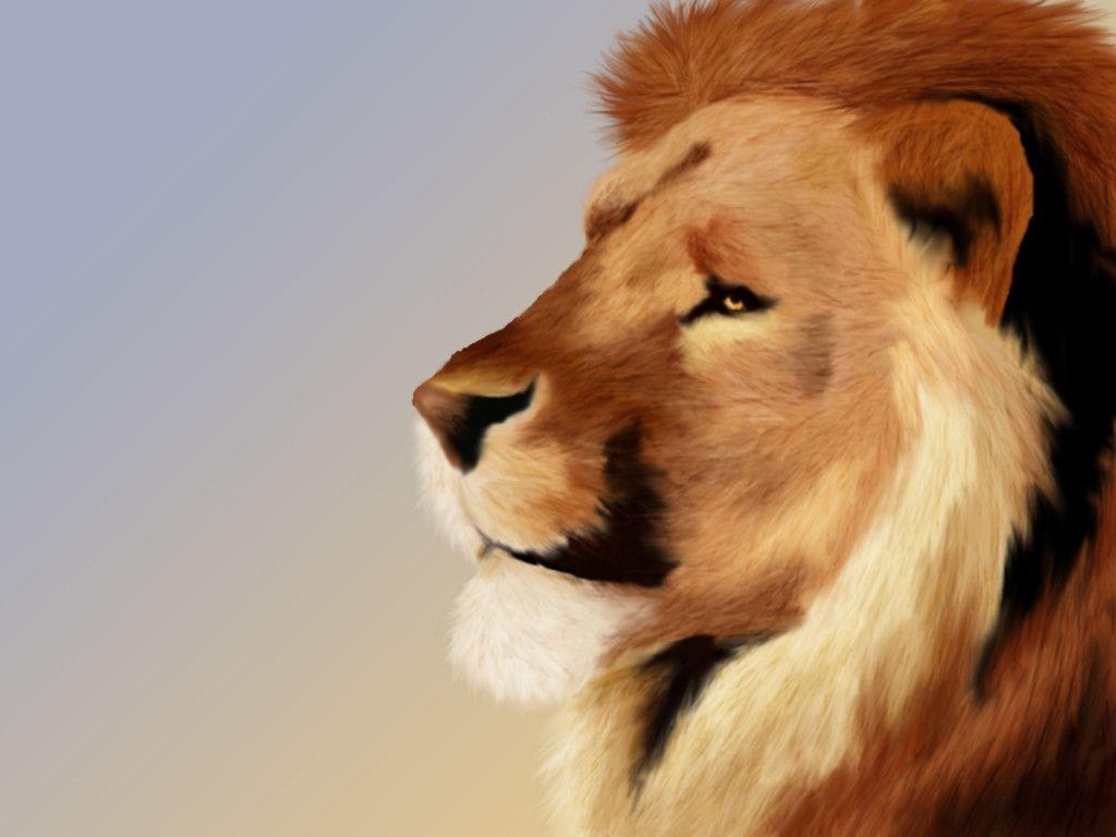 1030x770 More Like Aslan Wallpaper, Desktop