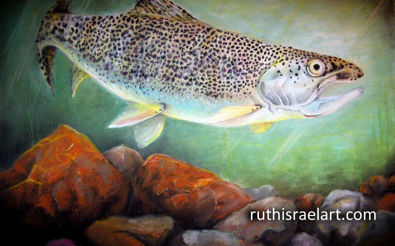 1280x800 Rainbow Trout Free Wallpaper Ruth Israel. Ruth Israel Art +, Desktop