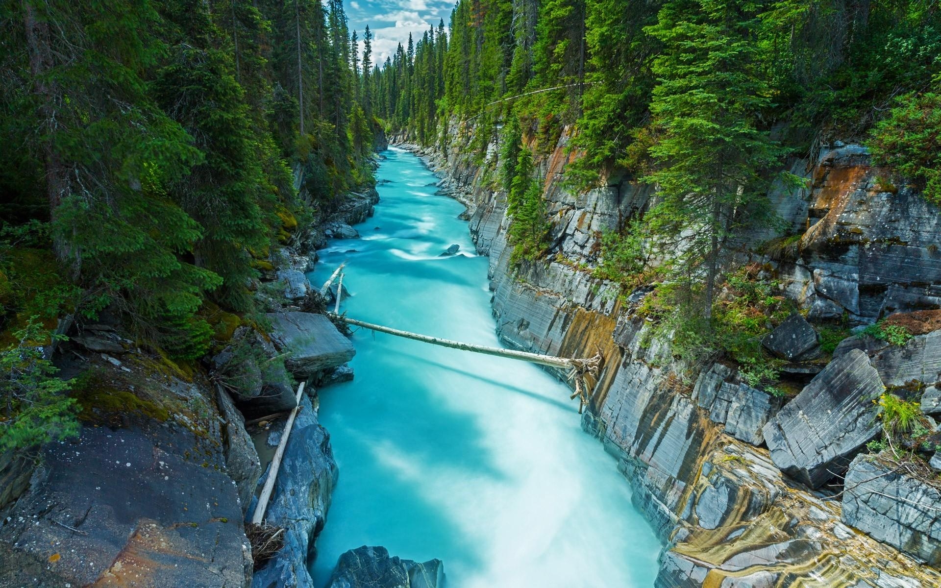 1920x1200 nature, Landscape, Canada, Forest, River, Rock, Water, Green, Desktop