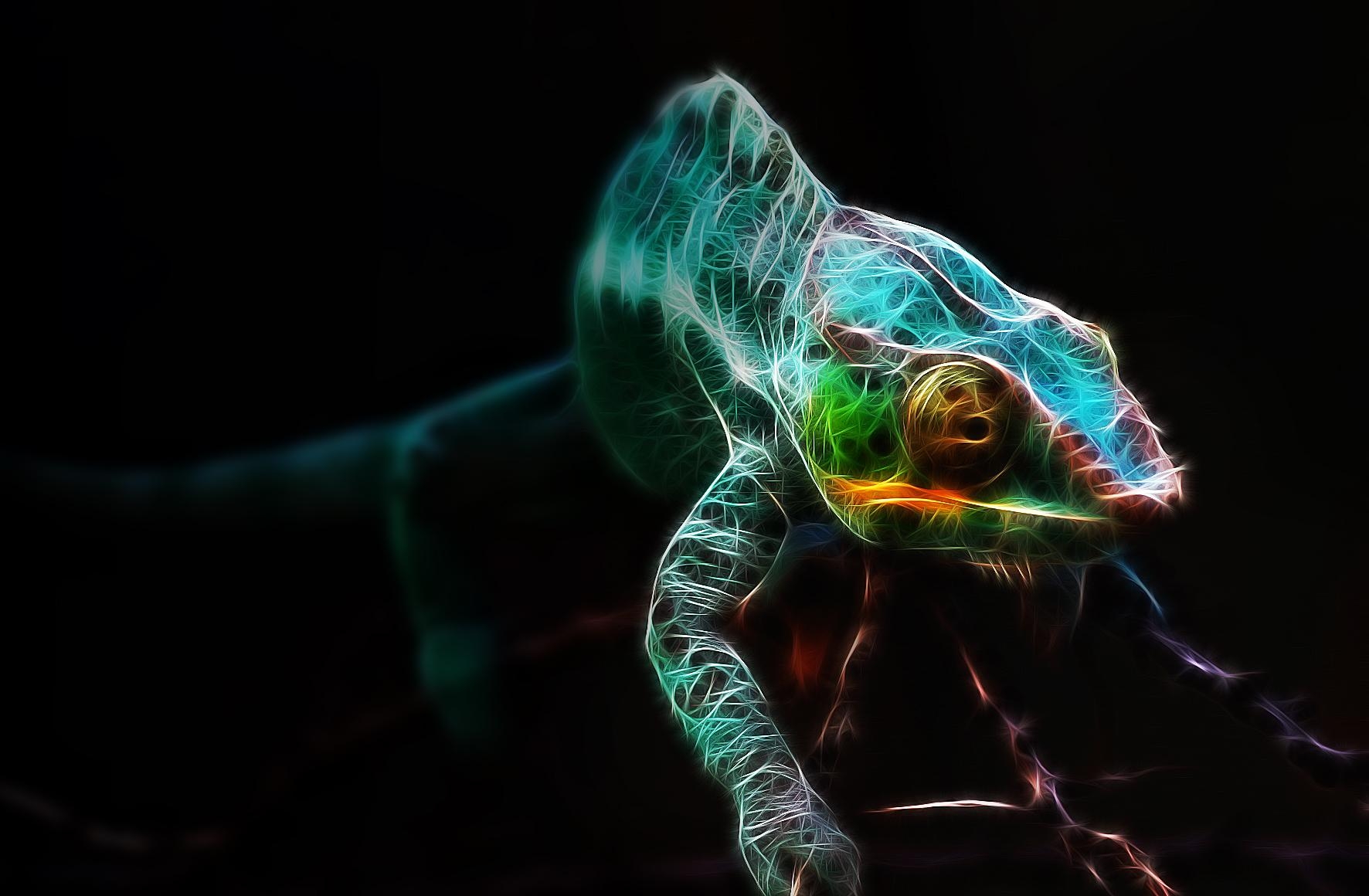 1780x1160 Chameleon Wallpaper and Background Imagex1160, Desktop