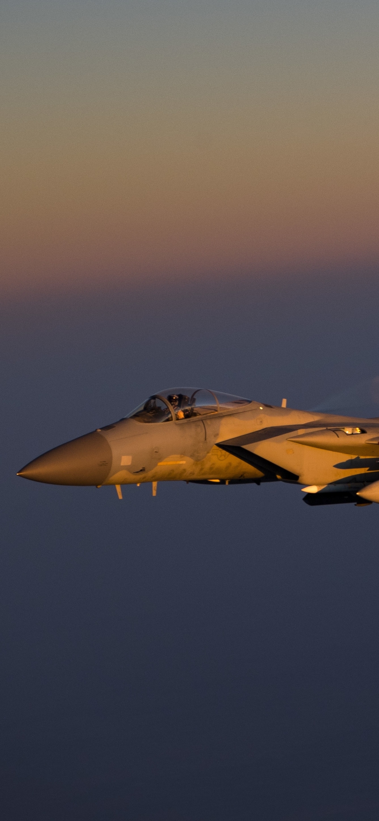 1290x2780 F 15 Eagle Air Force, Phone