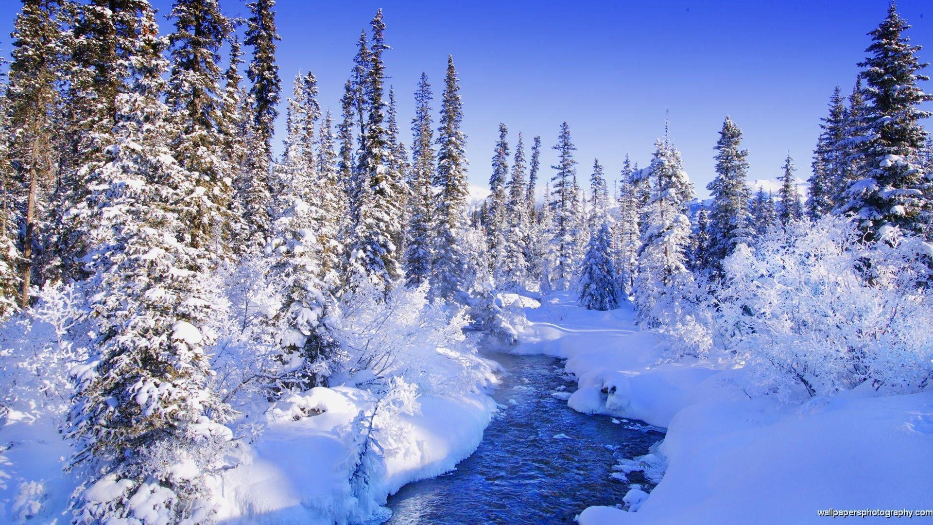 1920x1080 Winter Scenes Wallpaper 37 awesome picture 409427 High Definition, Desktop