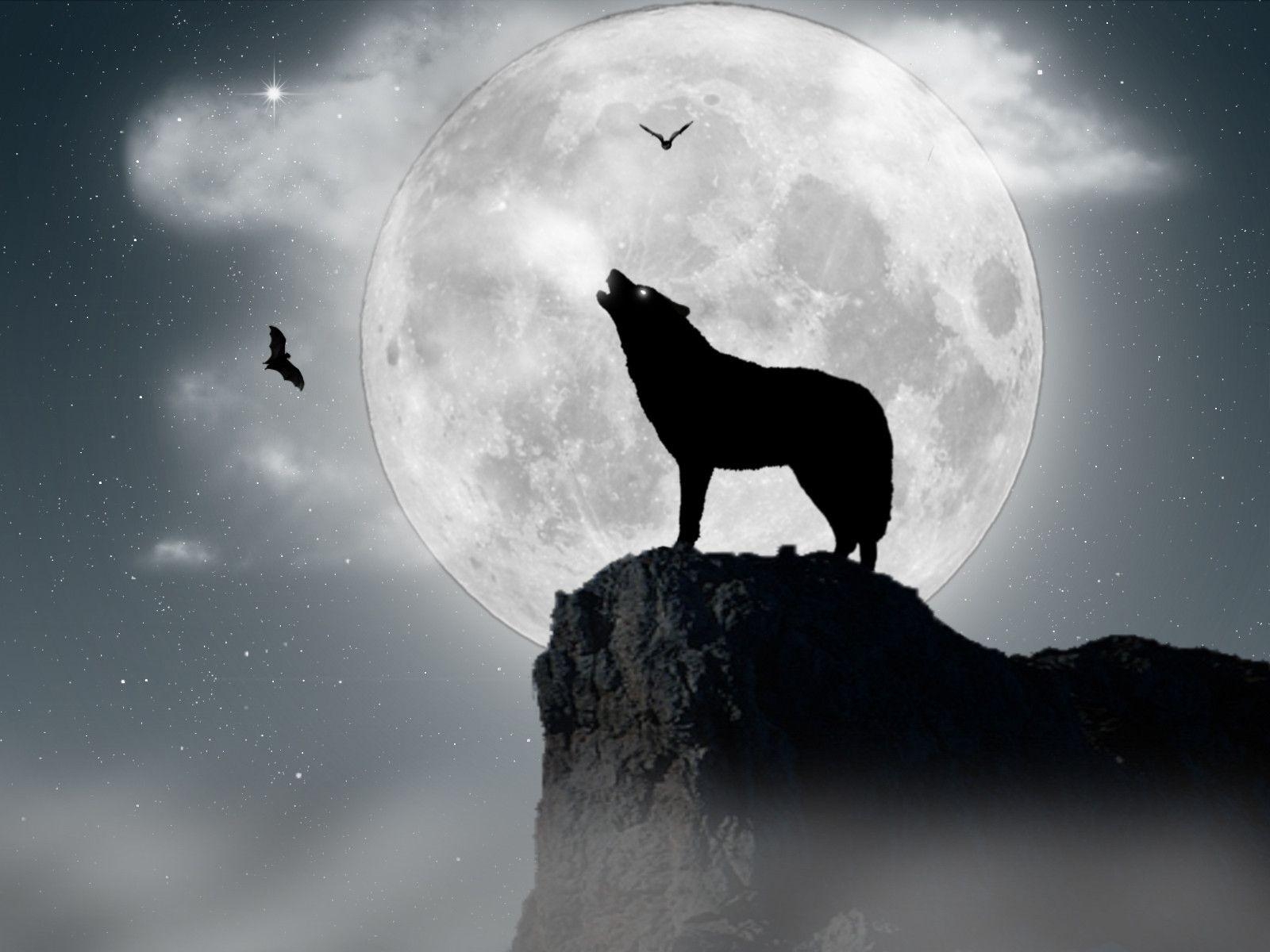 1600x1200 Wolf moon wallpaper, Desktop