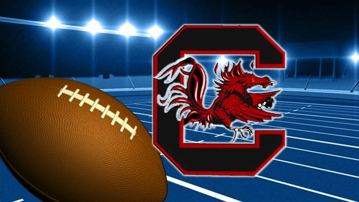 1250x700 SOUTH CAROLINA GAMECOCKS college football wallpaperx1080, Desktop