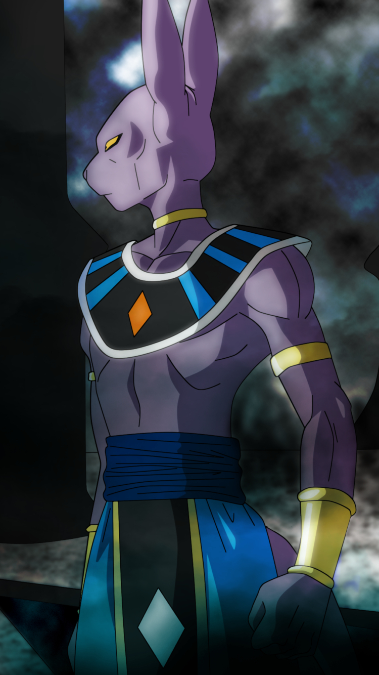 750x1340 Wallpaper Ball Phone Wallpaper Beerus HD Wallpaper, Phone