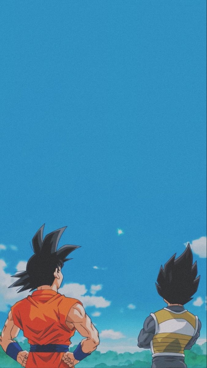 680x1200 Dragon Ball Z Aesthetic Wallpaper, Phone