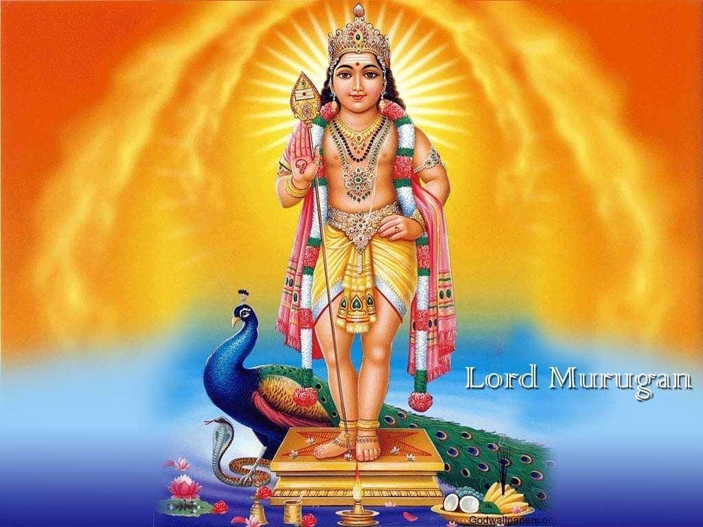 1030x770 Lord Murugan Wallpaper Free Lord Murugan Background, Desktop