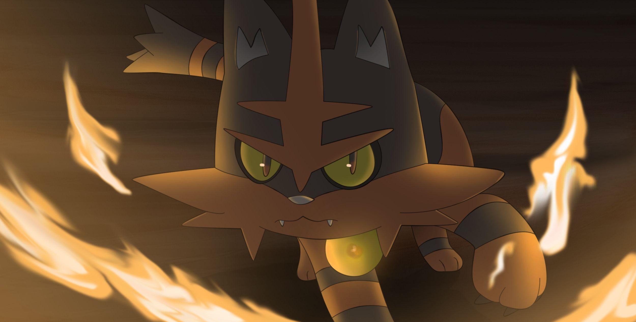 2500x1270 Litten's evolution Torracat! HD Wallpaper. Background Image, Desktop