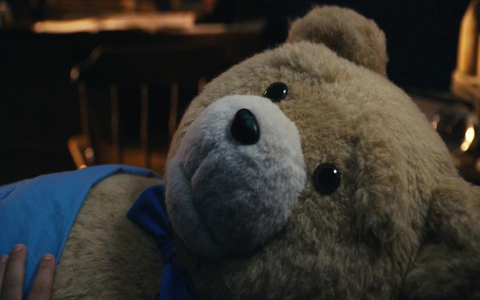 1920x1200 Movies funny teddy bears Ted wallpaperx1200, Desktop