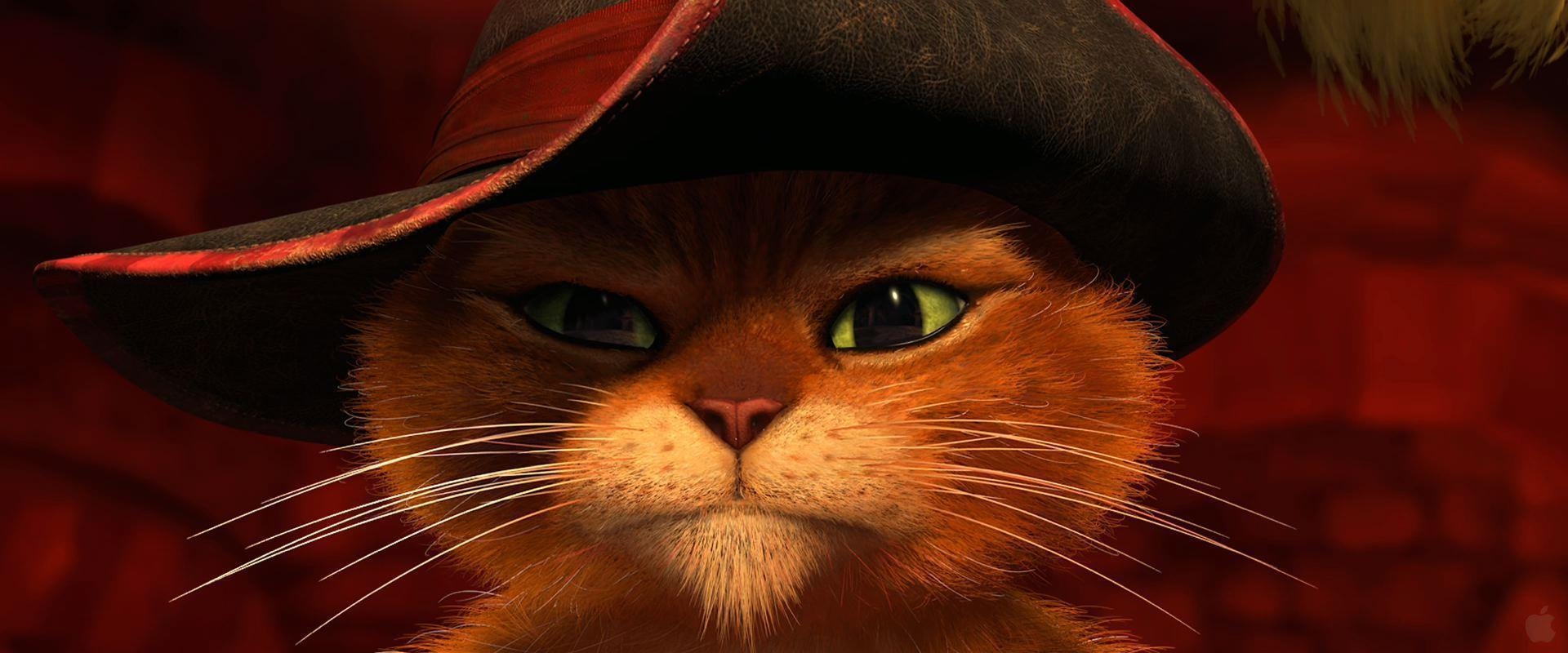 1920x800 Puss in Boots Dreamworks Movie Desktop Wallpaper, Dual Screen