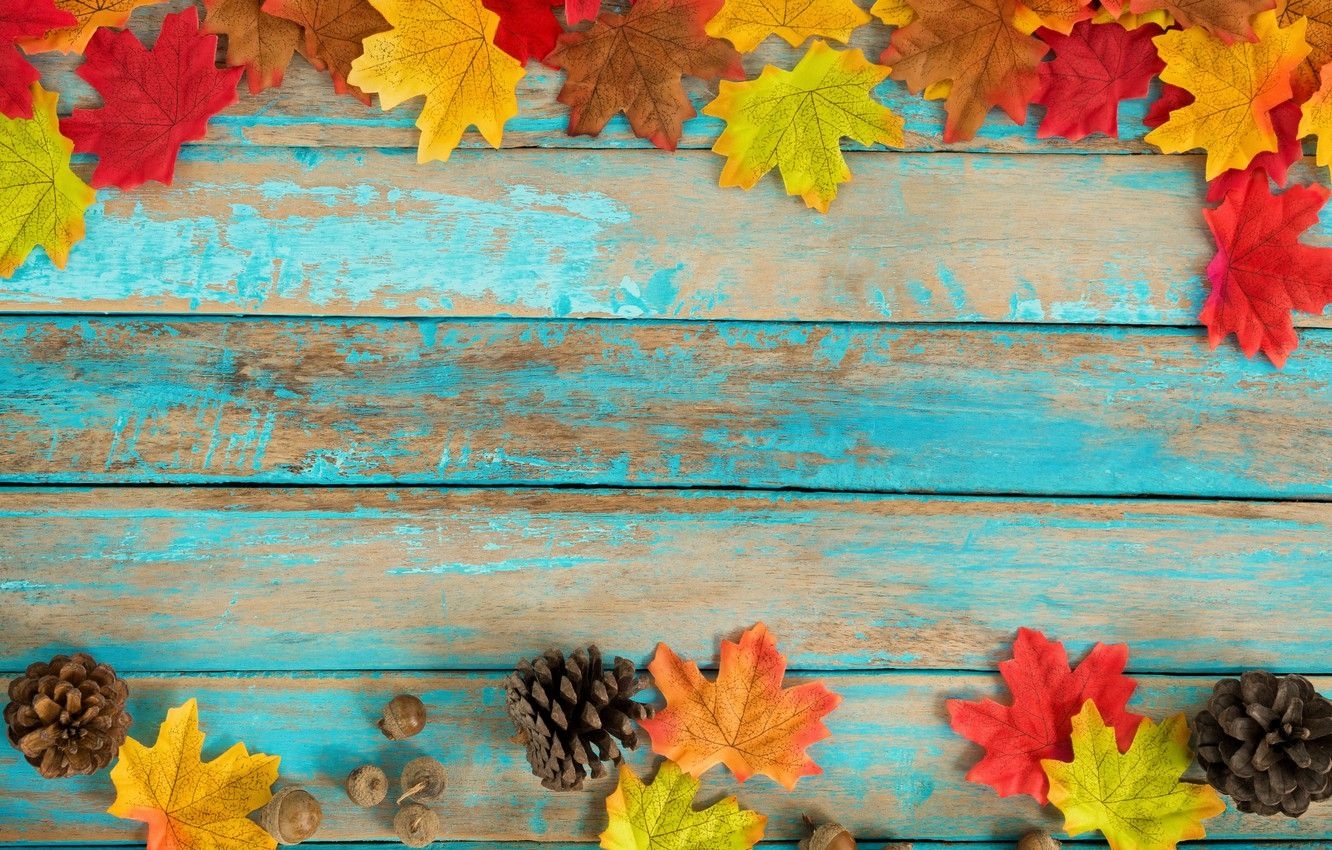 1340x850 Wallpaper autumn, leaves, background, tree, colorful, vintage, wood, background, autumn, leaves, maple image for desktop, section текстуры, Desktop