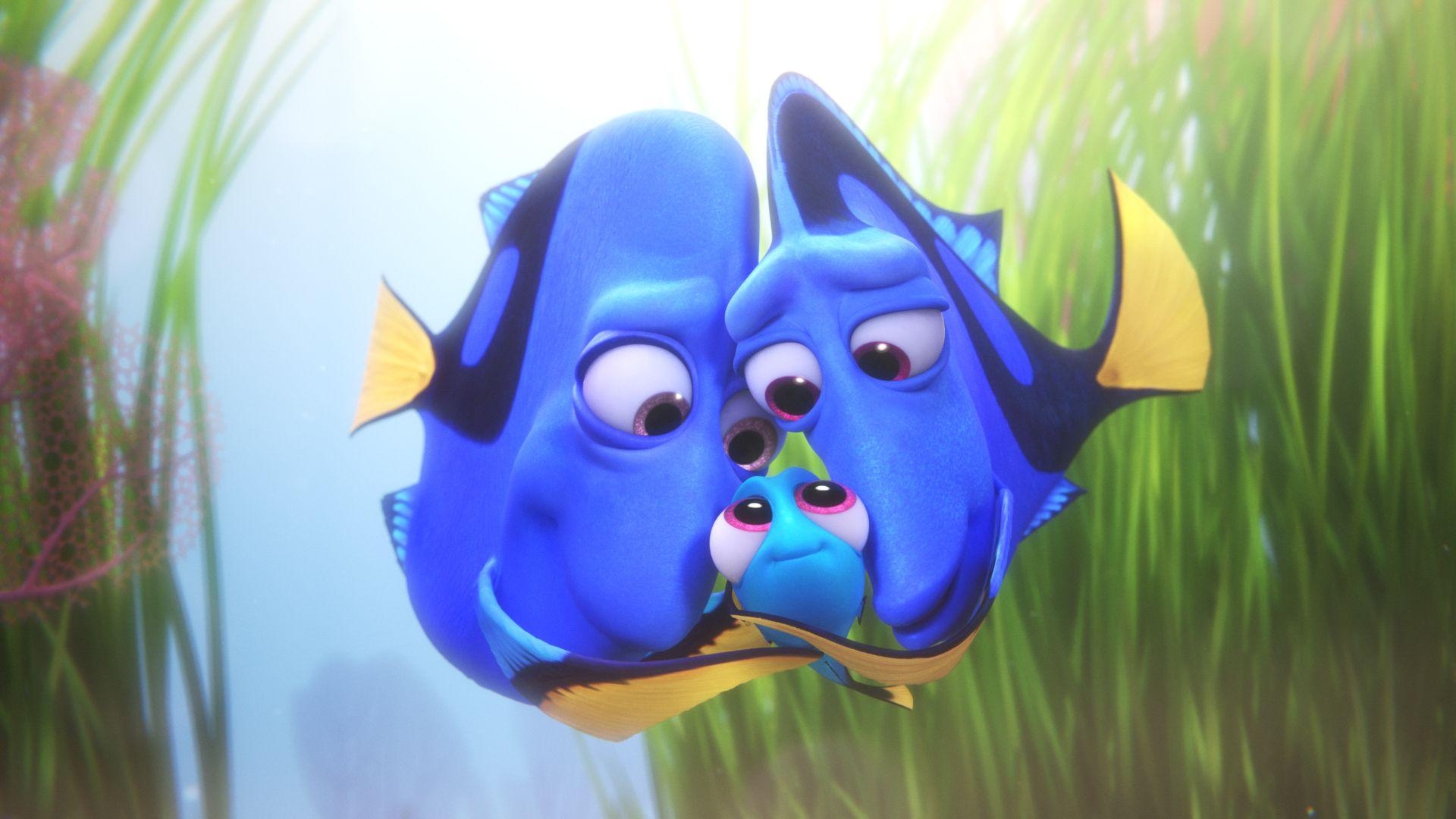 1920x1080 Finding Dory Computer Wallpaper, Desktop Backgroundx2400, Desktop