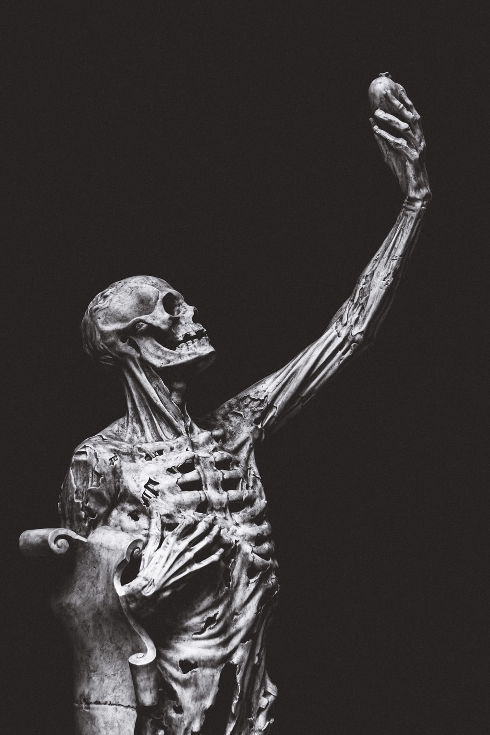 1000x1500 Skeleton Picture [HD]. Download Free Image, Phone