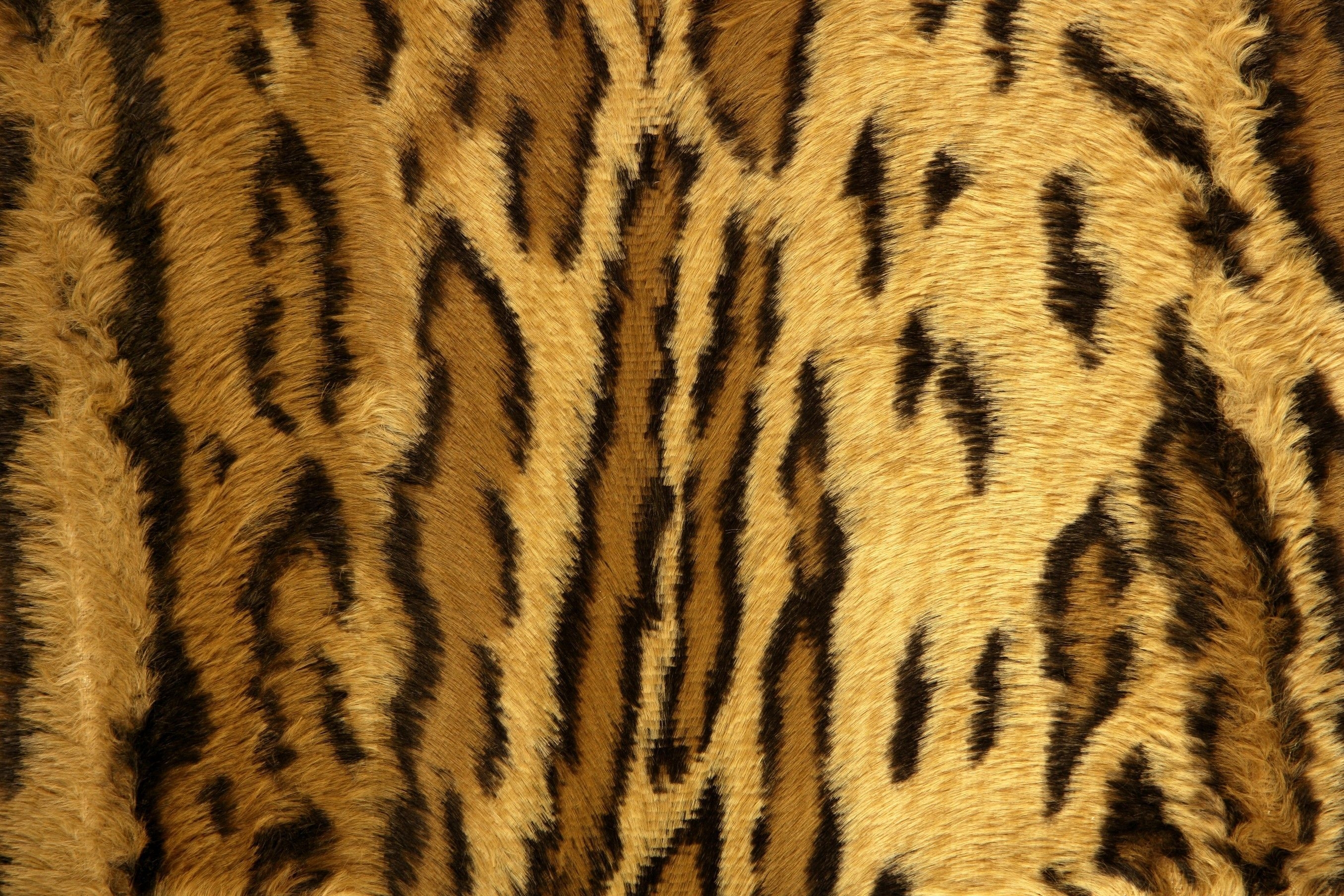 2720x1810 Cheetah Fur Wallpaper, Desktop