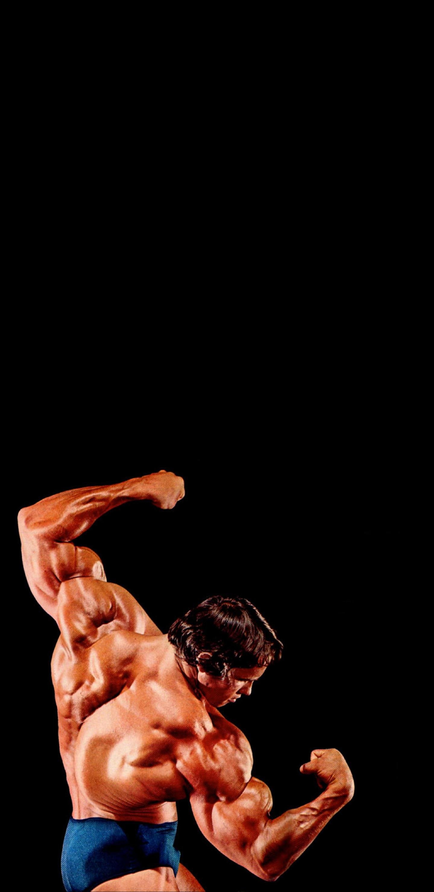 1440x2960 Arnold Schwarzenegger, Phone