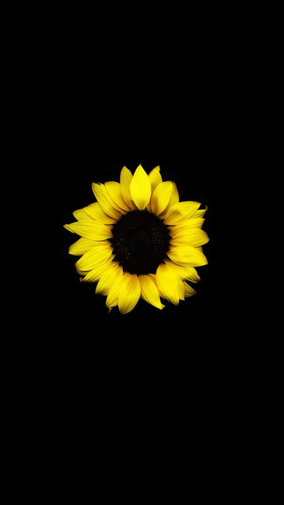 1080x1920 My favorite amoled wallpaper, yellow flower, Phone