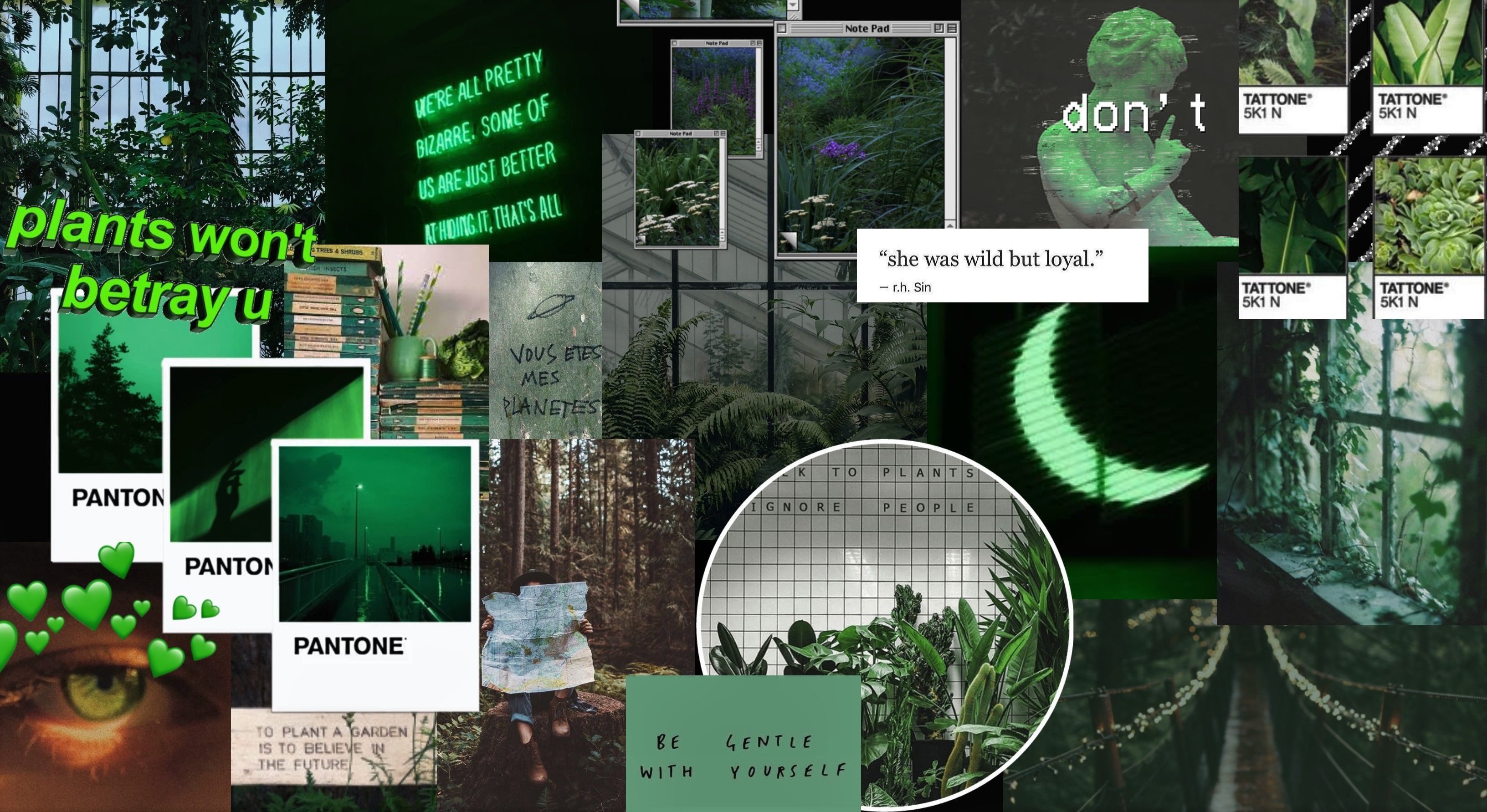 3270x1790 Aesthetic Green Laptop Wallpaper Free Aesthetic Green Laptop Background, Desktop