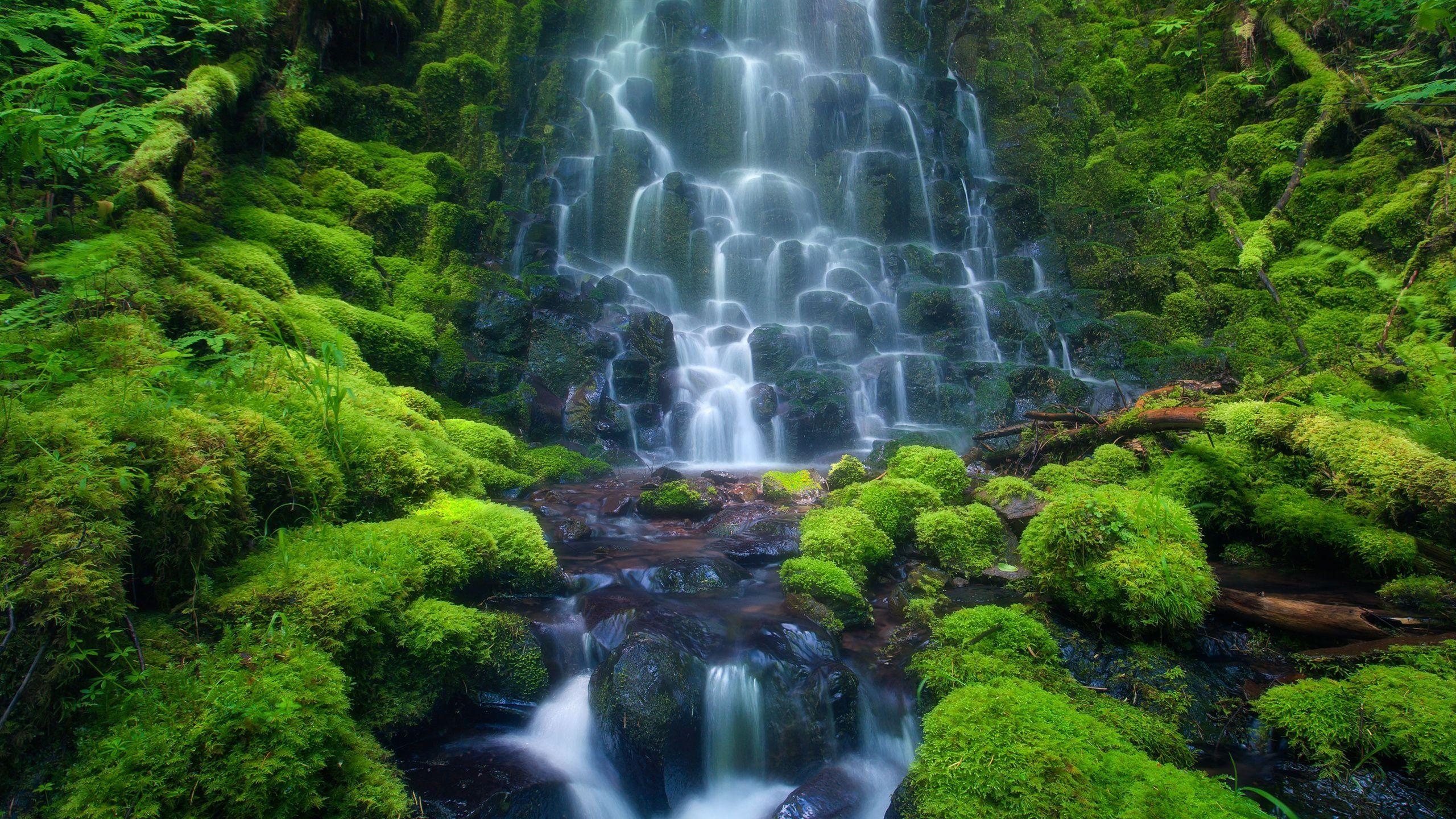 2560x1440 Amazon Rainforest Waterfall Wallpaper, Size:, Desktop