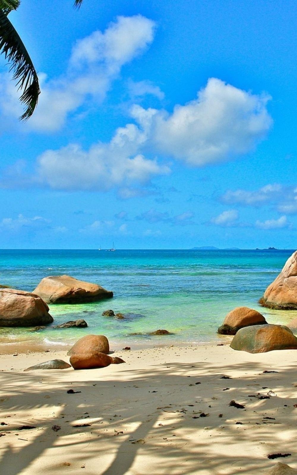 1000x1600 Beach Seychelles Mobile Wallpaper, Phone