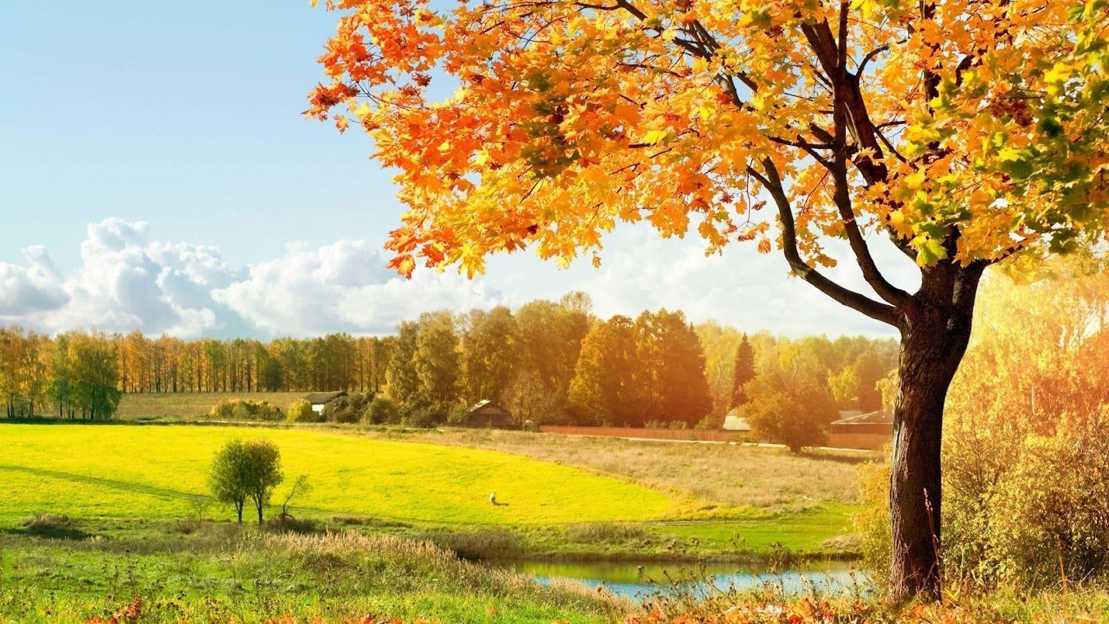 1600x900 Beautiful Autumn Wallpaper Entertainment Spy, Desktop