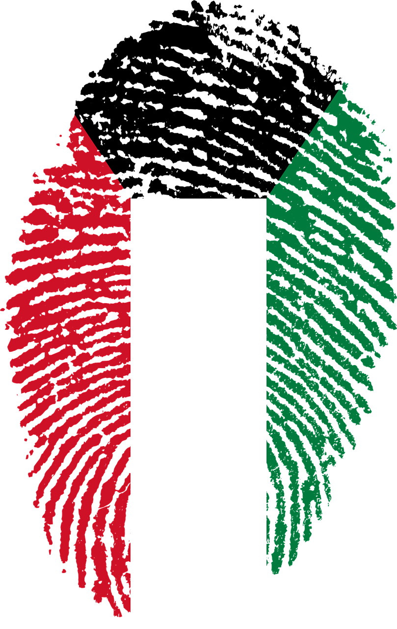 810x1280 Travel, Kuwait, Flag, Fingerprint, Country #travel, #kuwait, #flag, Phone