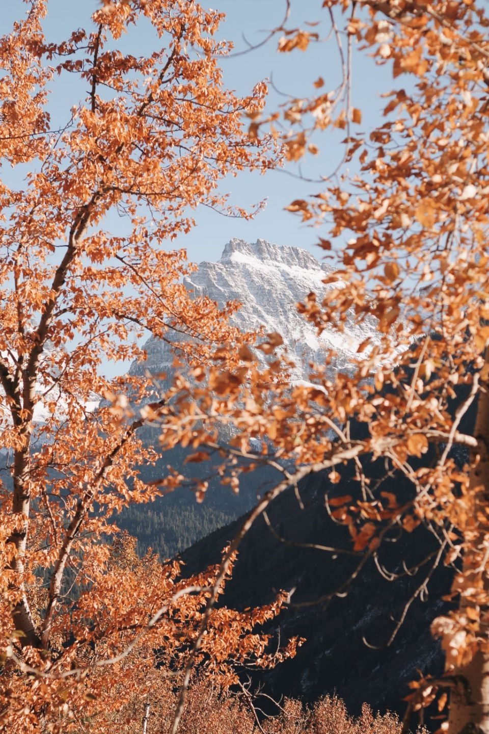 960x1440 Fall iPhone Wallpaper That'll Instantly Make You Feel Cozy, Phone