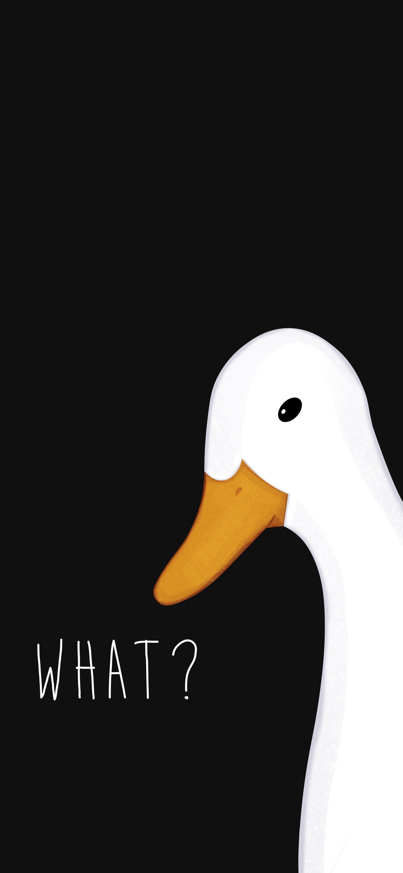 1410x3050 Funny Goose Wallpaper Free Funny Goose Background, Phone