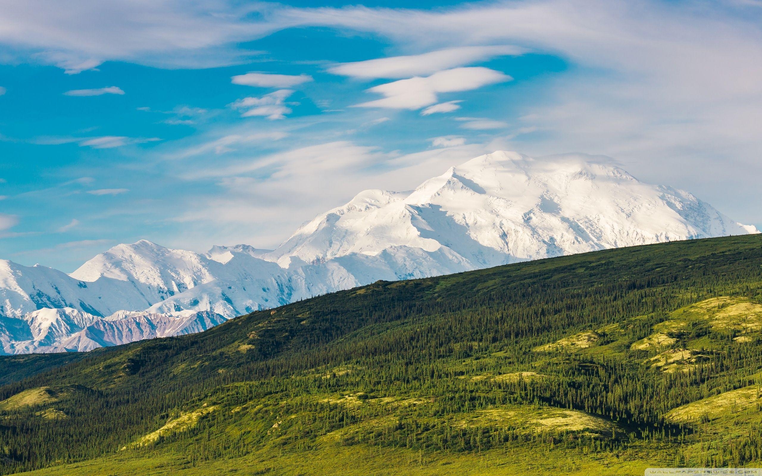 2560x1600 Denali National Park and Preserve, Alaska Range, United States, Desktop