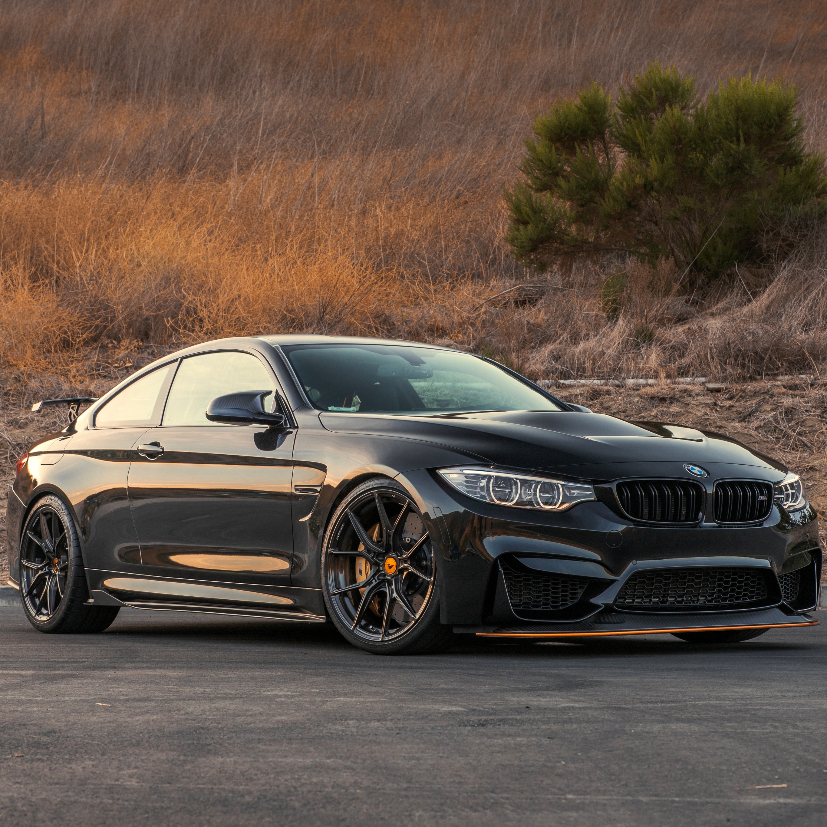 2740x2740 BMW F82 M4 Wallpaper 4K, 5K, Cars, Phone