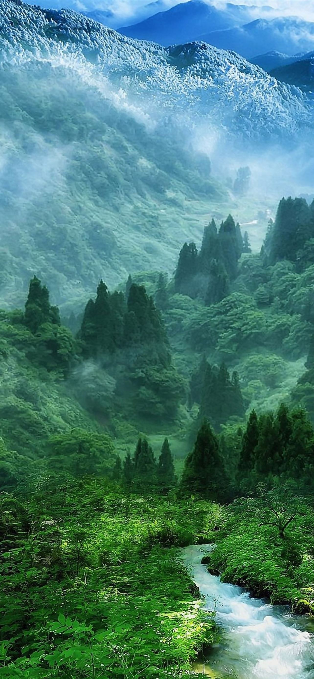 1290x2780 Nature Mist Mountain Wood Forest River Landscape iPhone Wallpaper Free Download, Phone