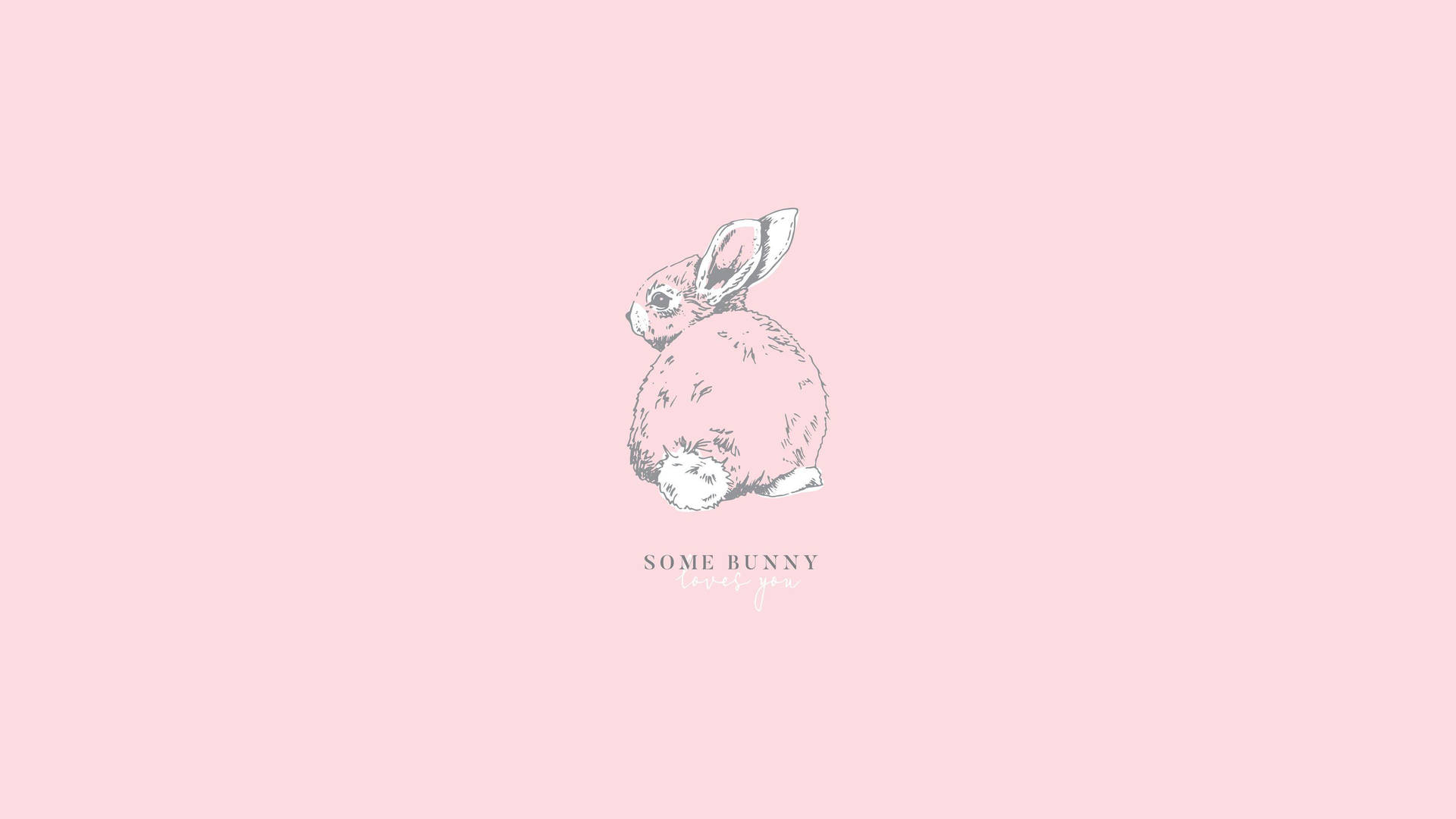 1920x1080 Download A Pink Bunny With The Words'tee Ri' On It Wallpaper, Desktop