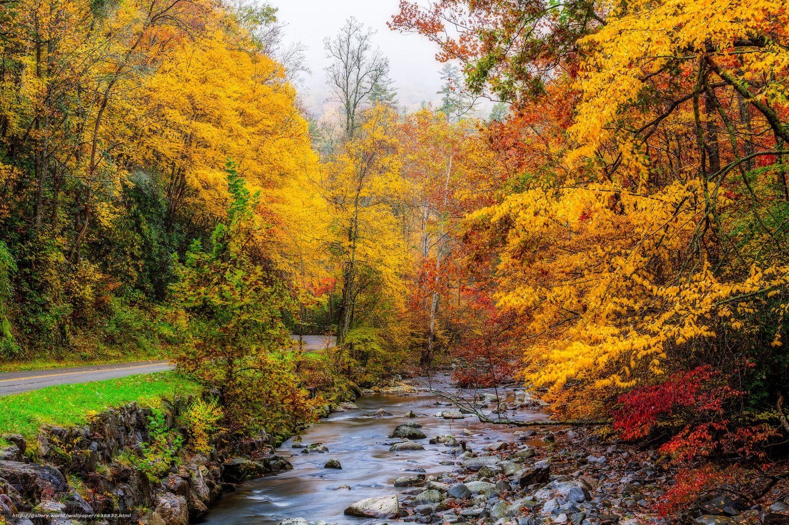 1600x1070 Download wallpaper Great Smoky Mountains National Park, Tennessee, Desktop