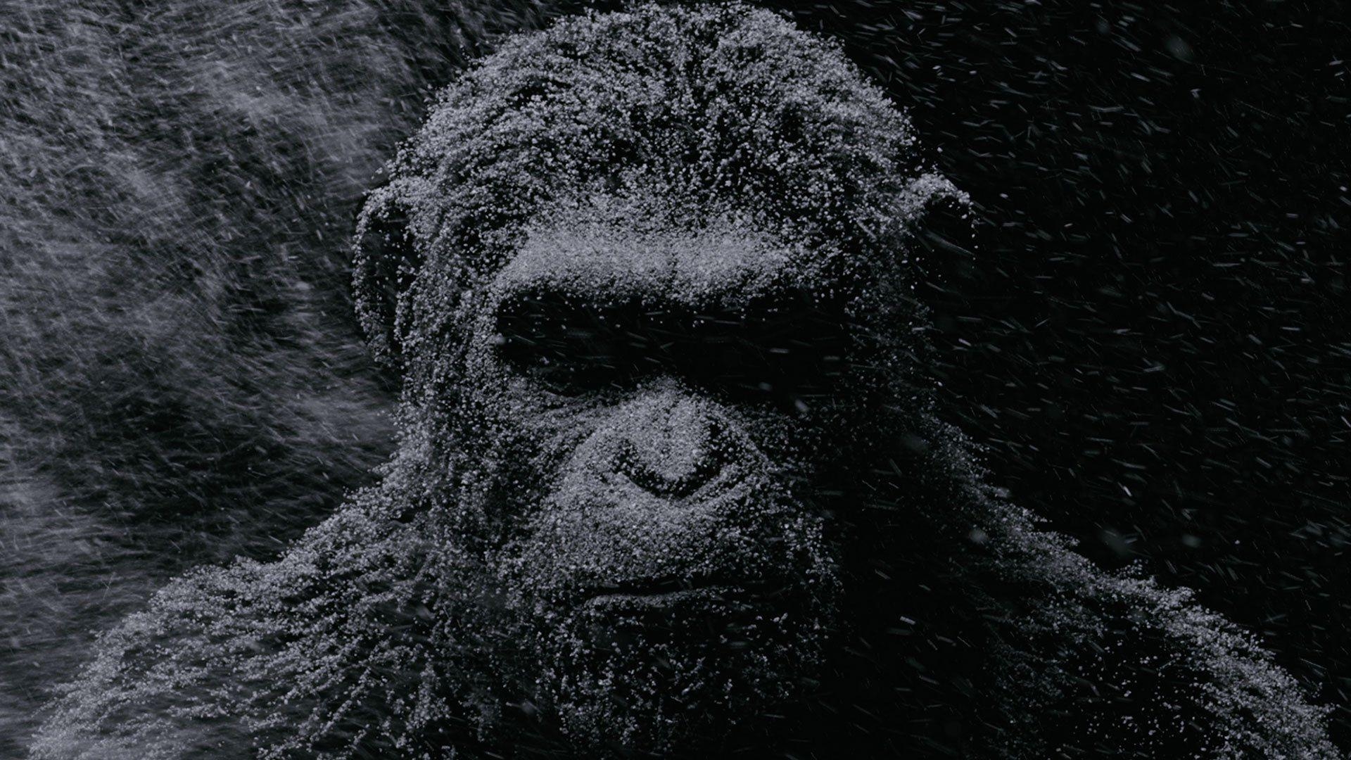 1920x1080 Watch the first War for the Planet of the Apes teaser. Caesar, Desktop