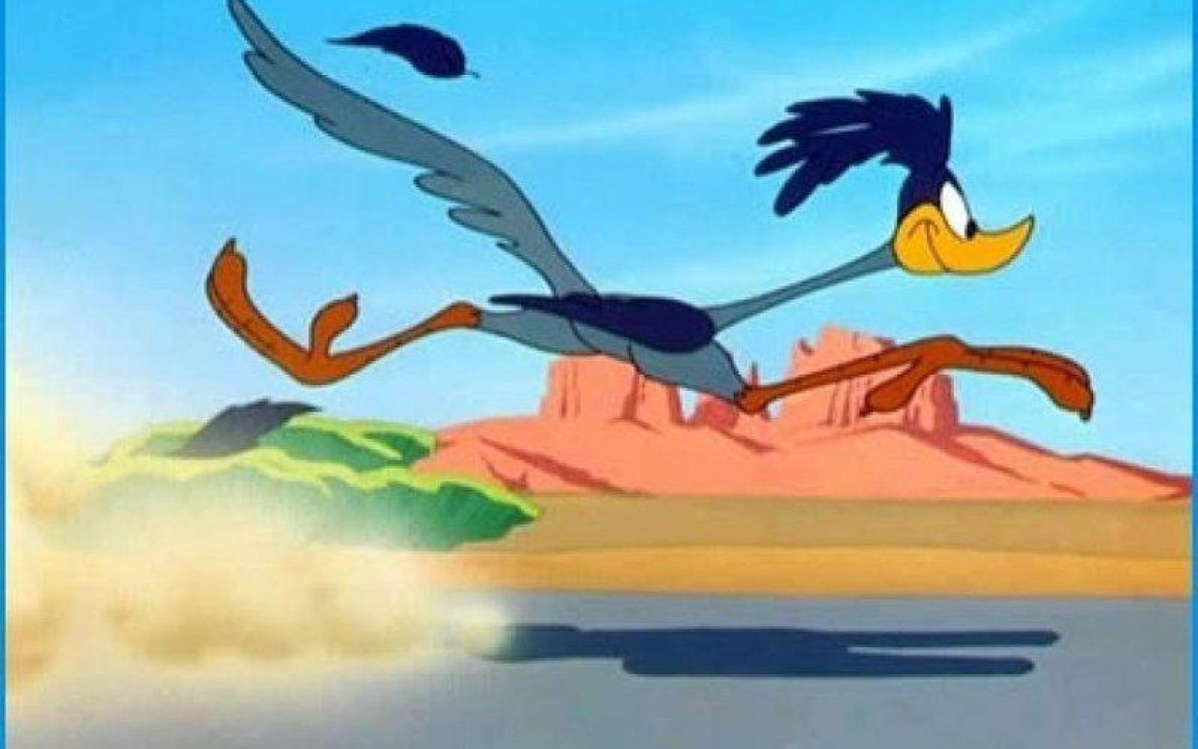 1680x1050 wallpaper: Road Runner, cartoon, bird, animal, dust, road, Looney, Desktop