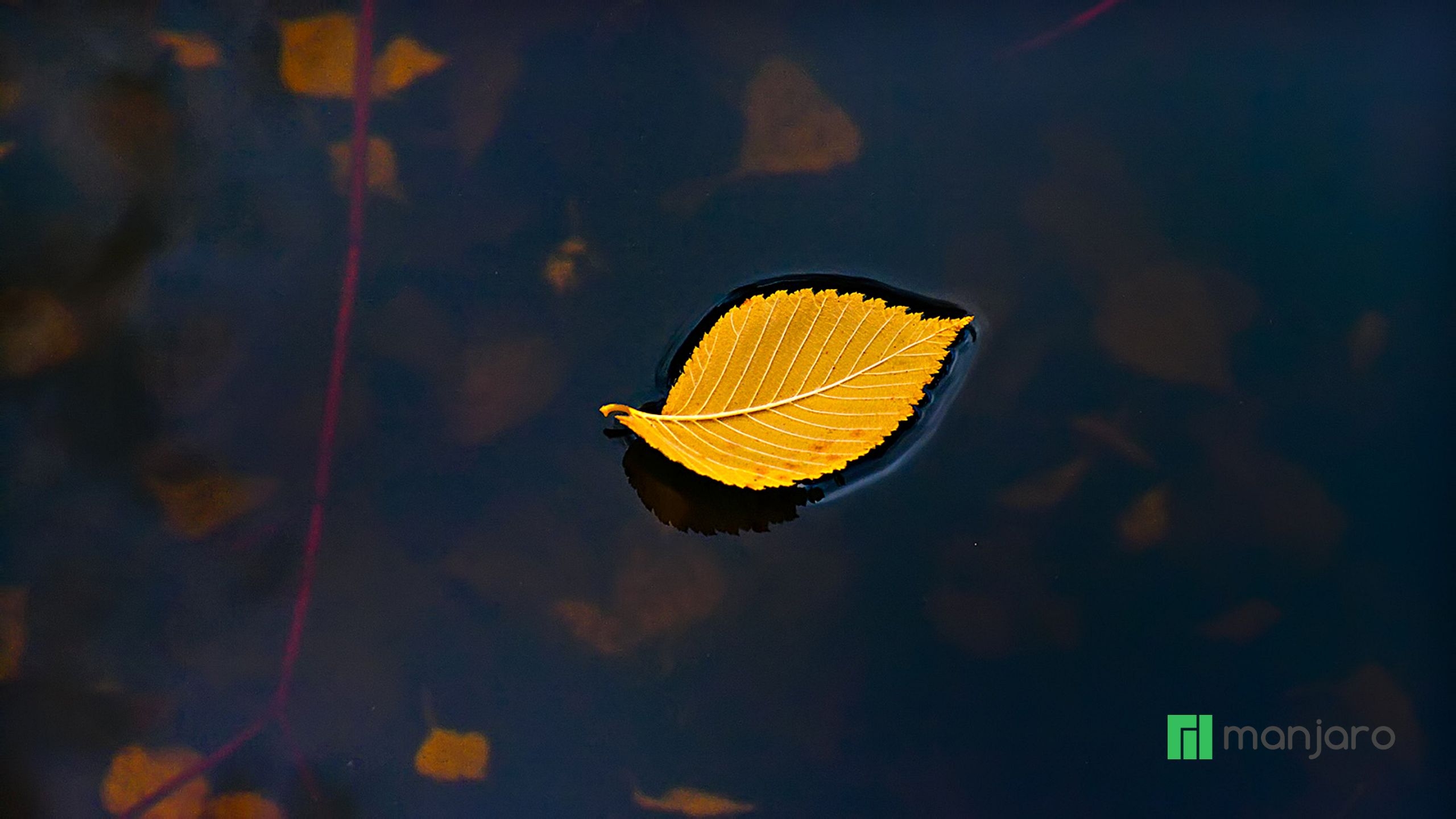 2560x1440 Minimalist Autumn Desktop HD Wallpaper, Desktop