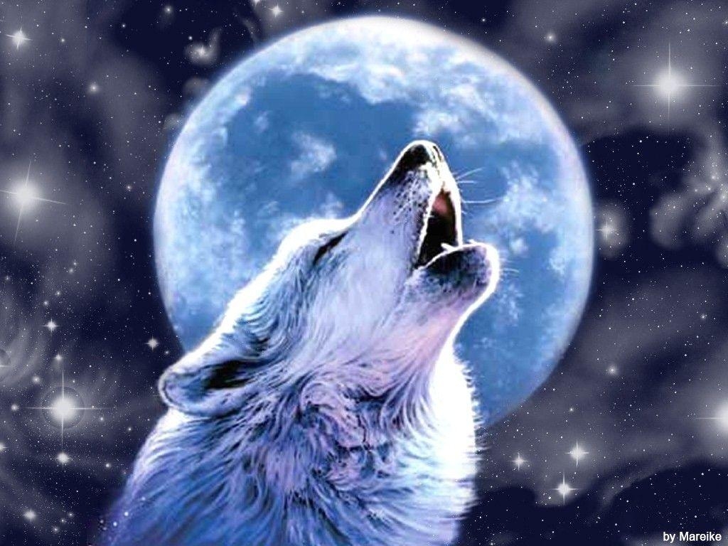 1030x770 White Wolves Howling At The Moon Image & Picture, Desktop