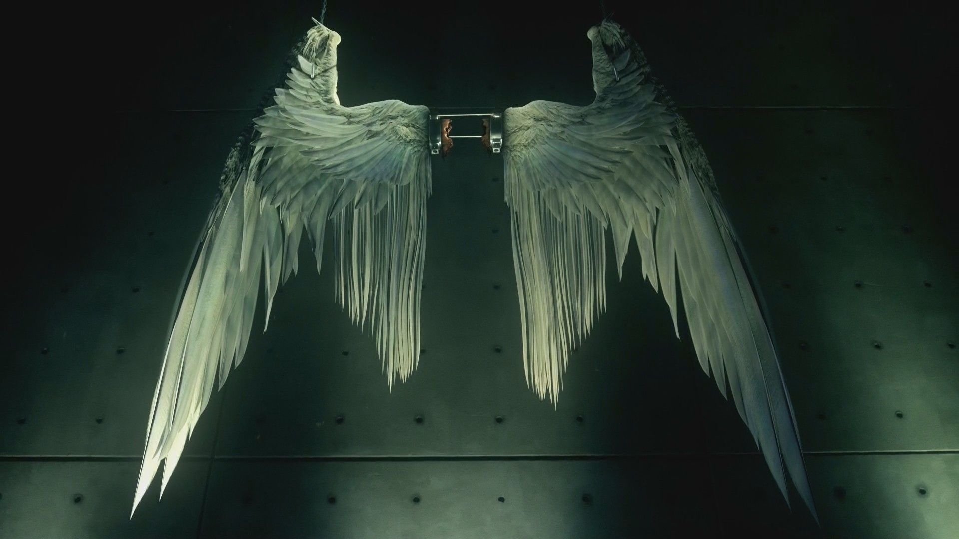 1920x1080 Lucifer's wings, Desktop