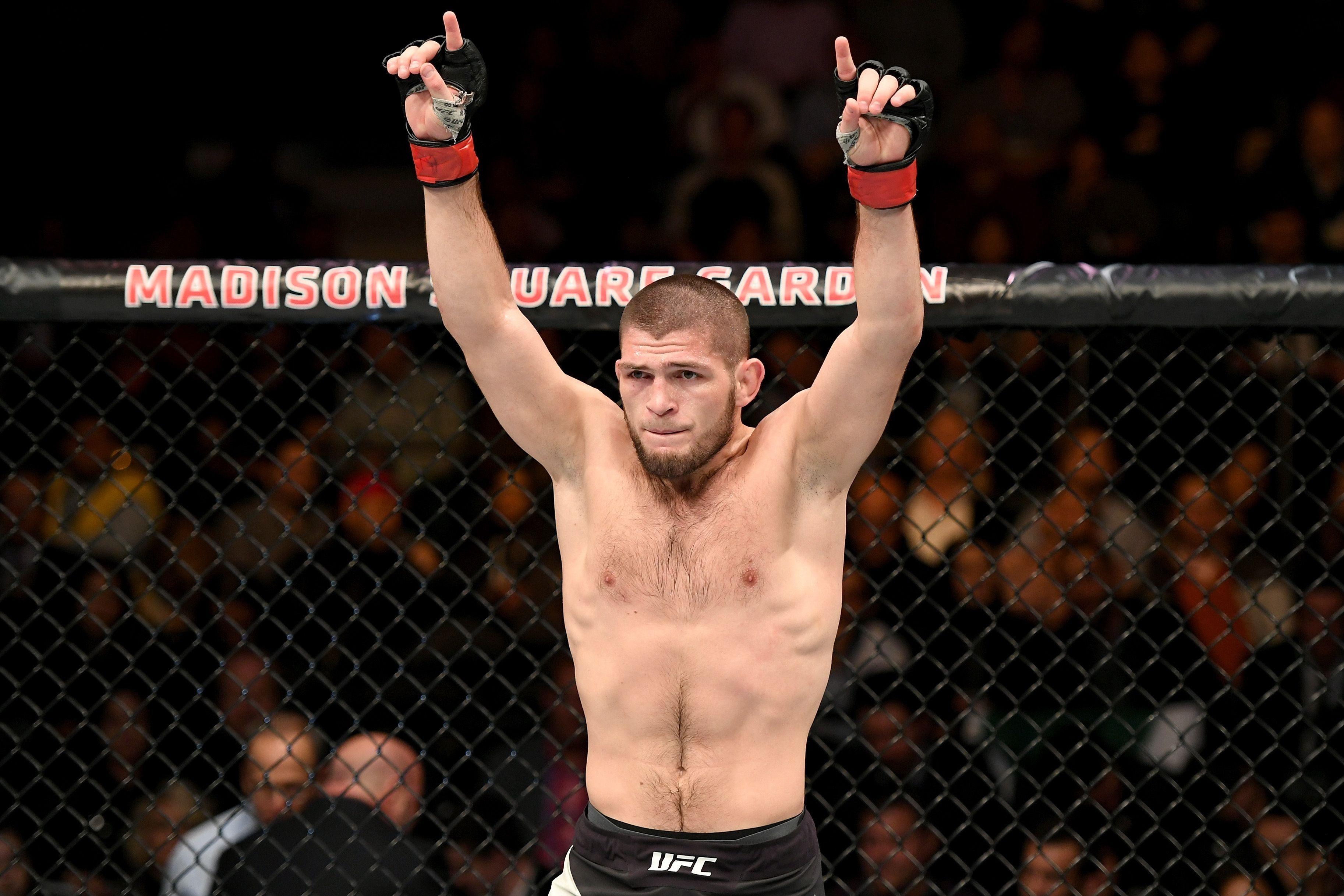 3660x2440 Conor McGregor: I Don't Want To Fight Khabib Nurmagomedov, Desktop