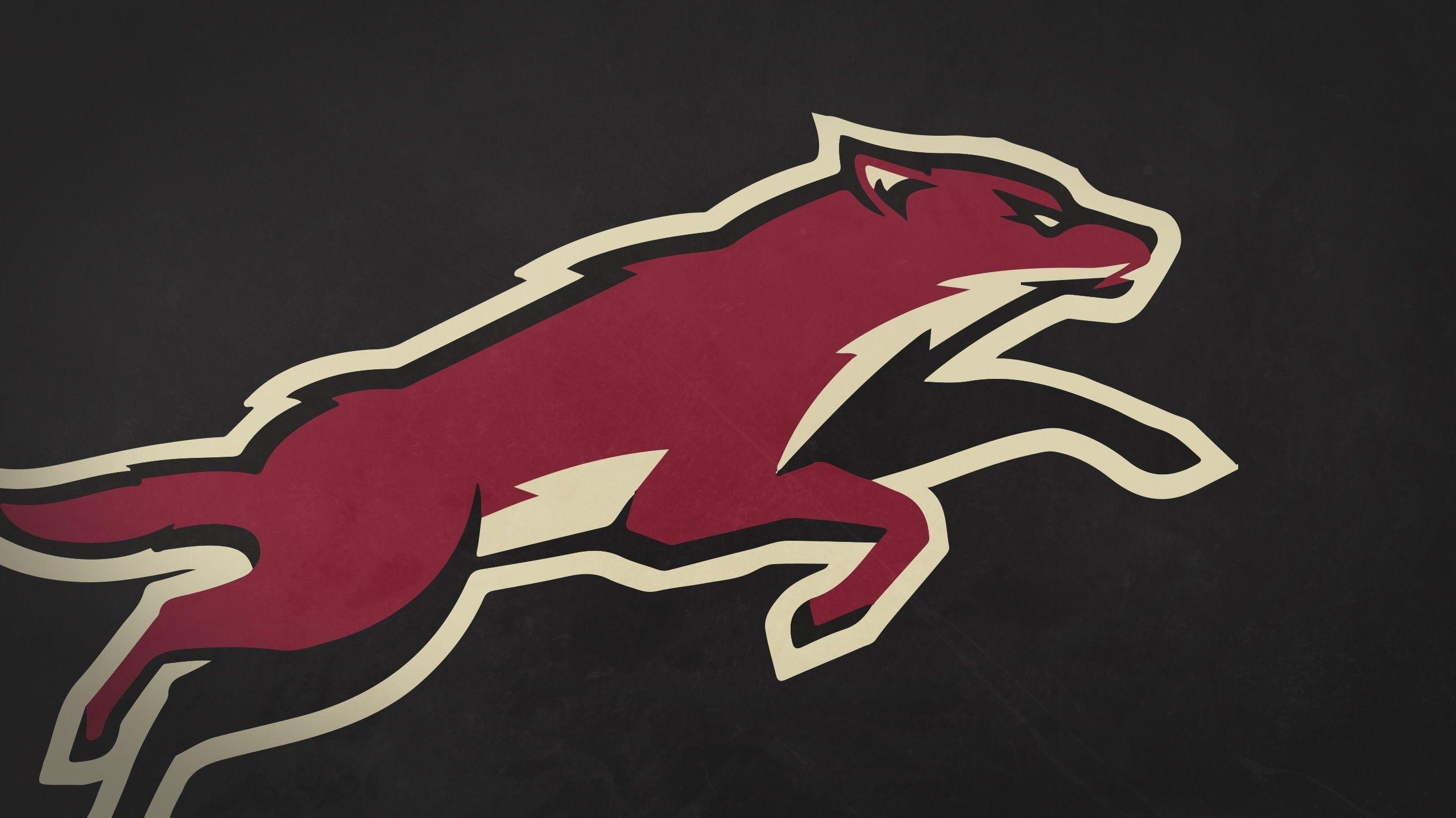 2560x1440 Phoenix Coyotes Computer Wallpaper, Desktop Background, Desktop