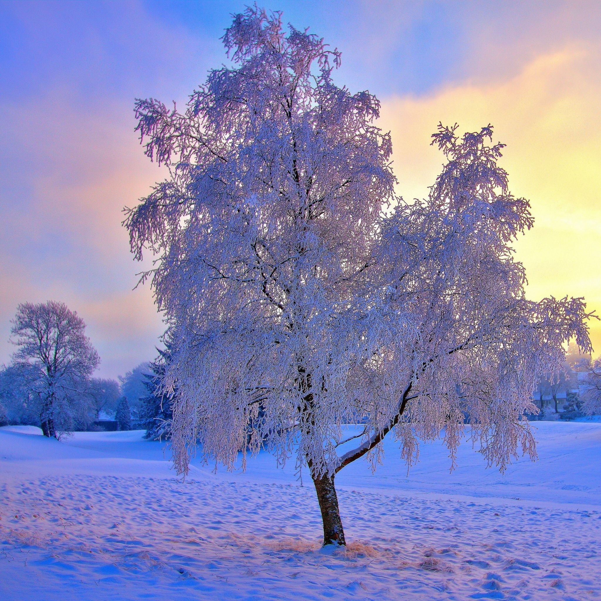 2050x2050 New iPad Air, iPad mini Retina Winter Wallpaper HD, Desktop Background. Winter wallpaper, Winter sunset, Winter landscape, Phone