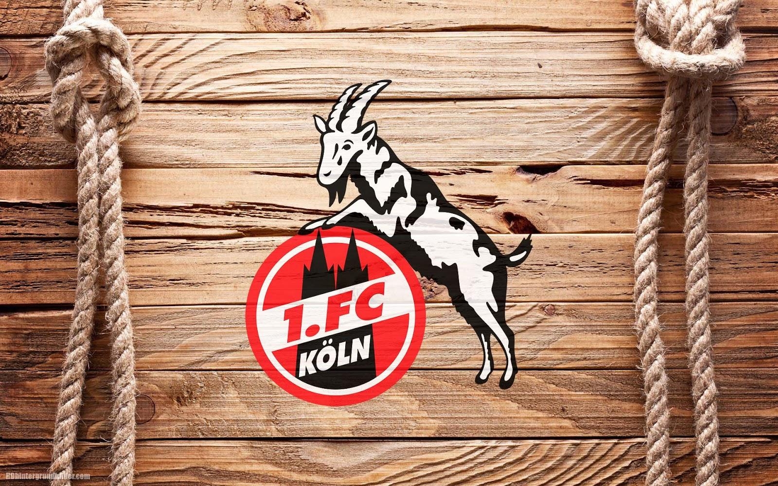 1600x1000 1. FC Köln wallpaper, Desktop