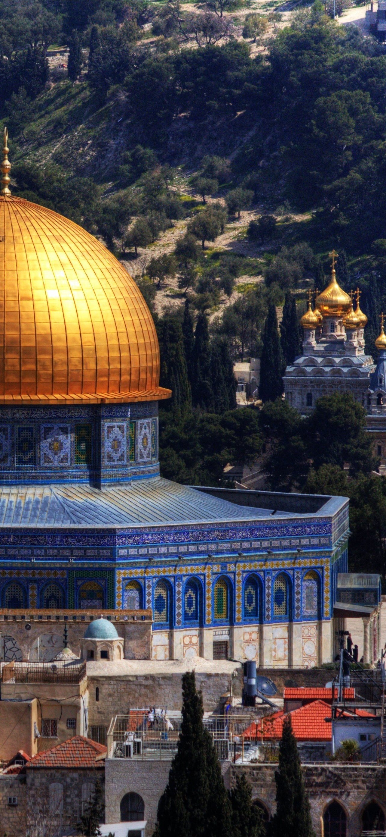 1290x2780 Best Palestine iPhone HD Wallpaper, Phone