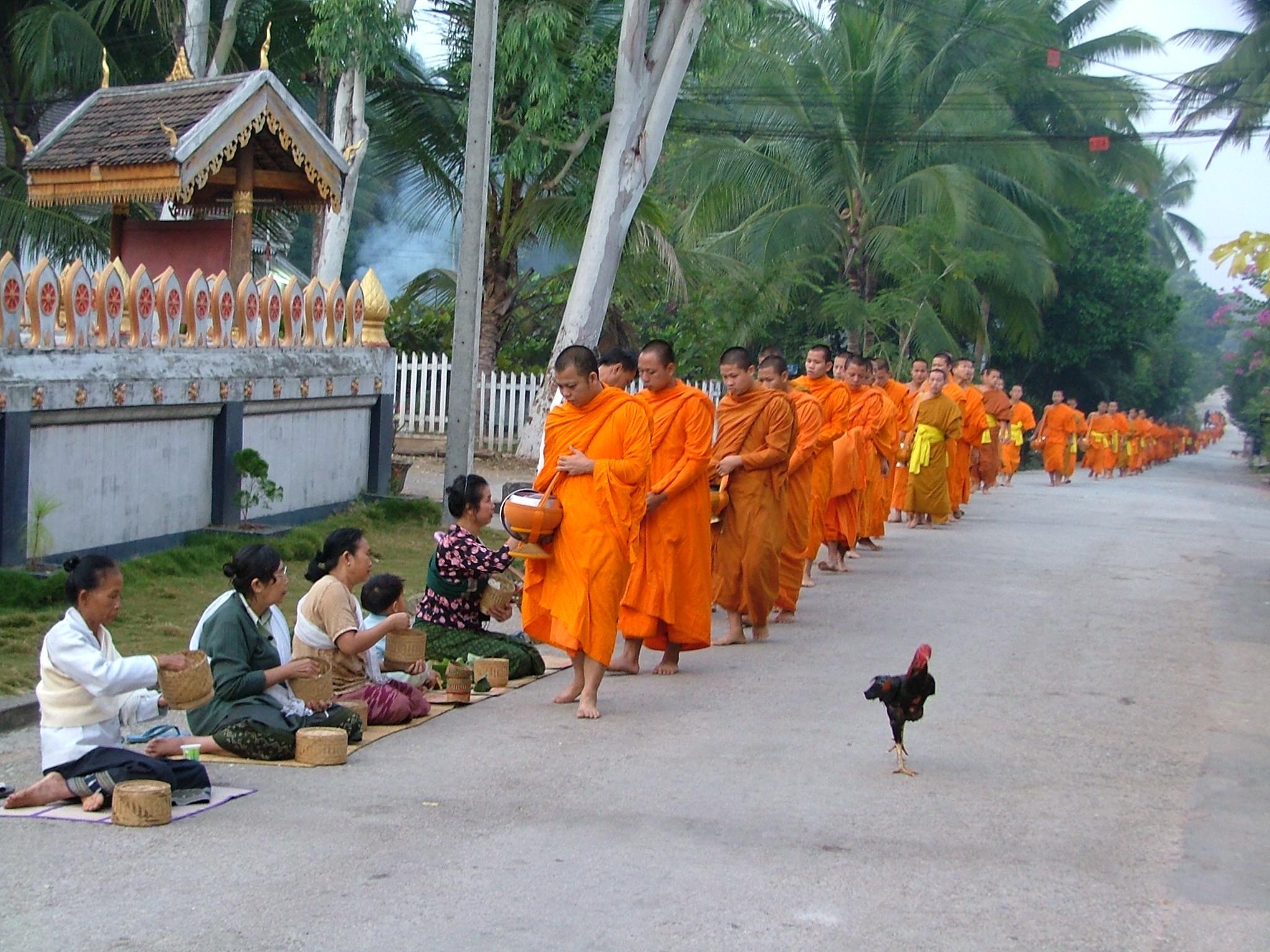 2050x1540 day Luang Prabang beauties, Desktop