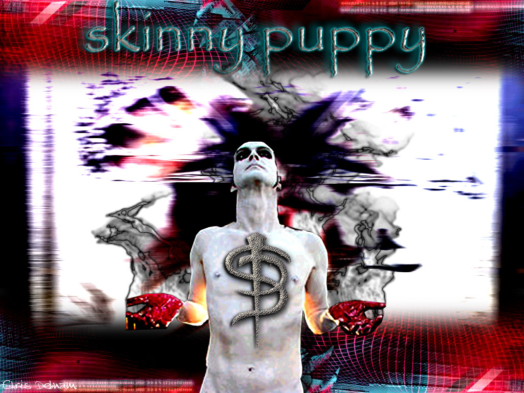 1030x770 skinny puppy. free wallpaper, music wallpaper, desktop backrgounds!, Desktop