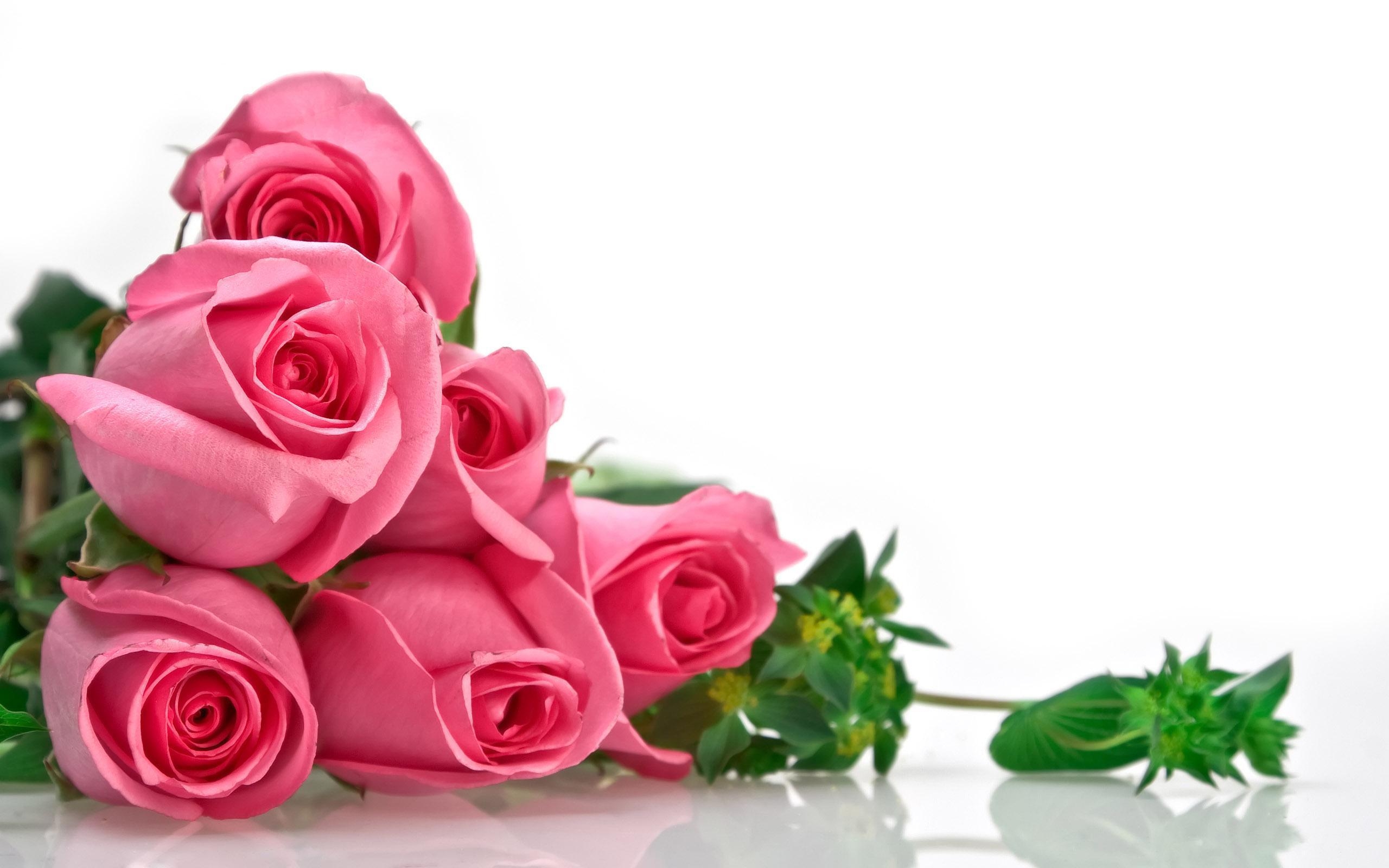 2560x1600 Pink Rose Wedding Wallpaper Image HD 891612 Wallpaper. Cool, Desktop